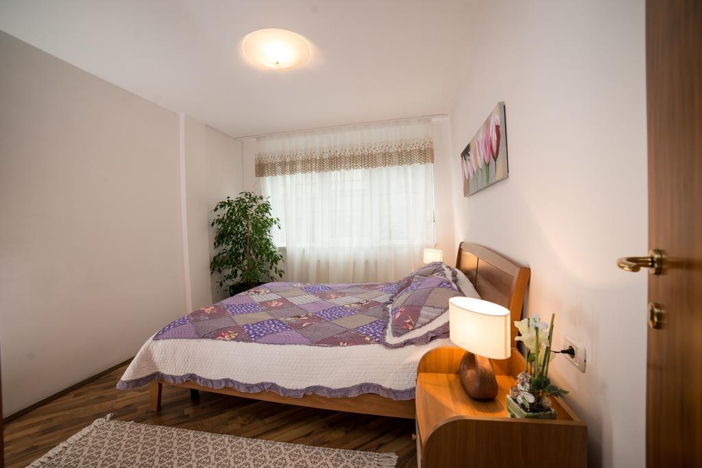 Rox Central Apartments 蒂米什瓦拉 外观 照片